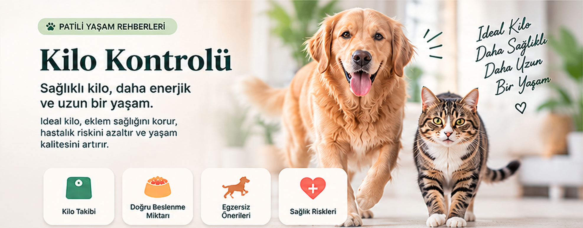 Patili Yaşam rehberleri: Kilo Kontrolü. Sağlıklı kilo, daha enerjik ve uzun bir yaşam; kilo takibi, doğru beslenme miktarı, egzersiz önerileri ve sağlık riskleri.