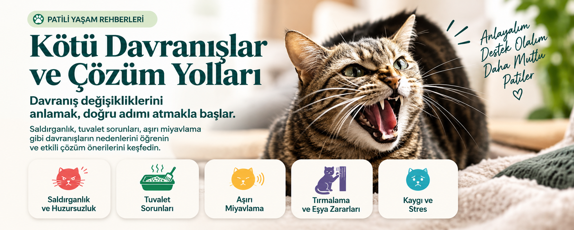 Patili Yaşam rehberleri: Kötü Davranışlar ve Çözüm Yolları. Saldırganlık, tuvalet sorunları, aşırı miyavlama, tırmalama ve kaygı gibi davranışların nedenleri ve çözüm önerileri.