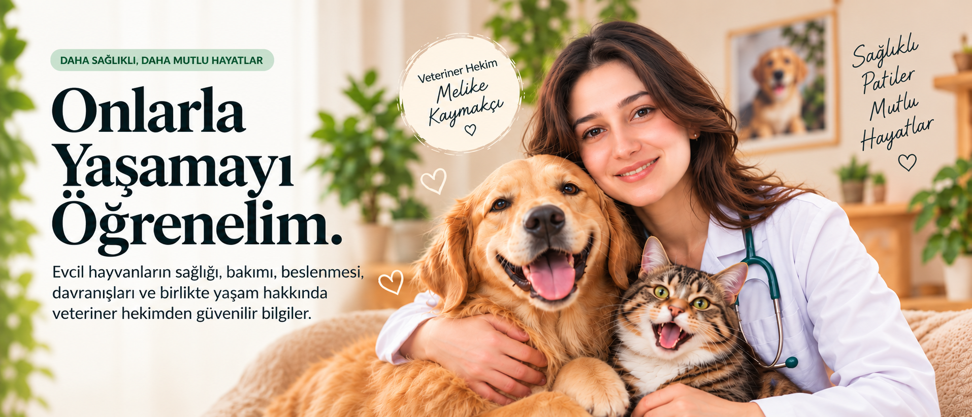 Veteriner Hekim Melike Kaymakçı, bir golden retriever ve tekir kediyle. Onlarla yaşamayı öğrenelim.